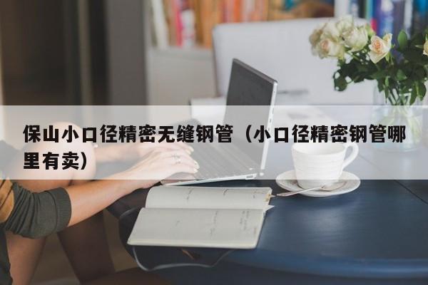保山小口徑精密無(wú)縫鋼管（小口徑精密鋼管哪里有賣(mài)）