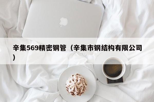 辛集569精密鋼管（辛集市鋼結(jié)構(gòu)有限公司）