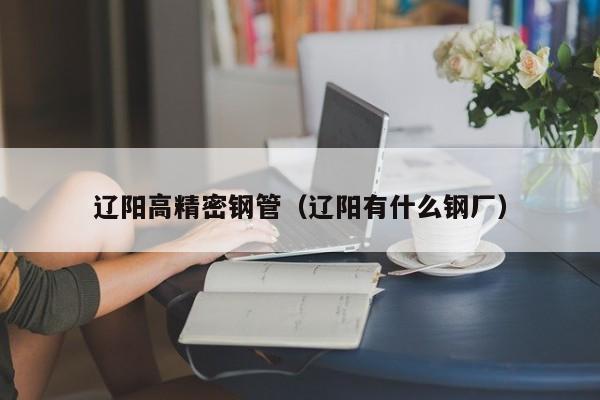 遼陽(yáng)高精密鋼管（遼陽(yáng)有什么鋼廠）