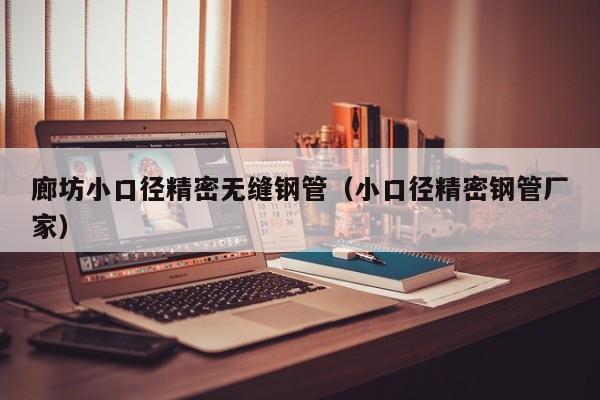 廊坊小口徑精密無(wú)縫鋼管（小口徑精密鋼管廠家）