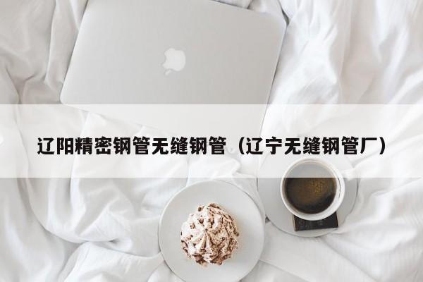 遼陽精密鋼管無縫鋼管（遼寧無縫鋼管廠）