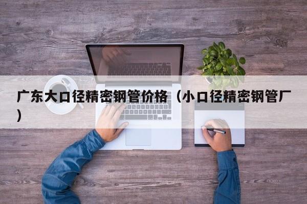 廣東大口徑精密鋼管價格（小口徑精密鋼管廠）