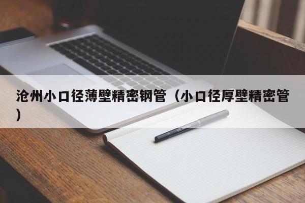 滄州小口徑薄壁精密鋼管（小口徑厚壁精密管）