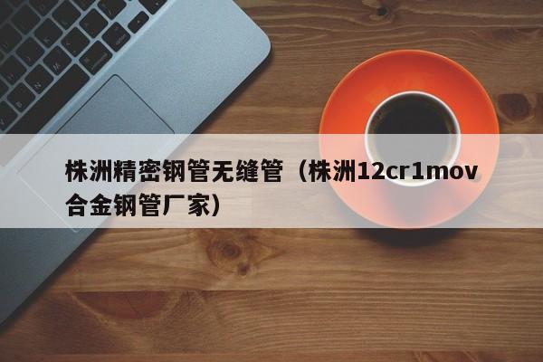 株洲精密鋼管無縫管（株洲12cr1mov合金鋼管廠家）