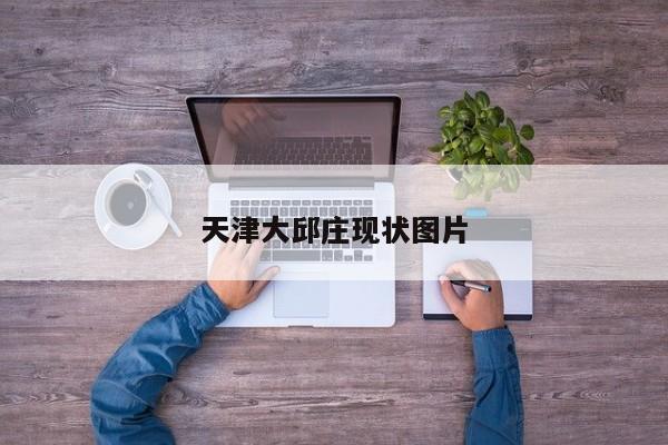 天津大邱莊現(xiàn)狀圖片